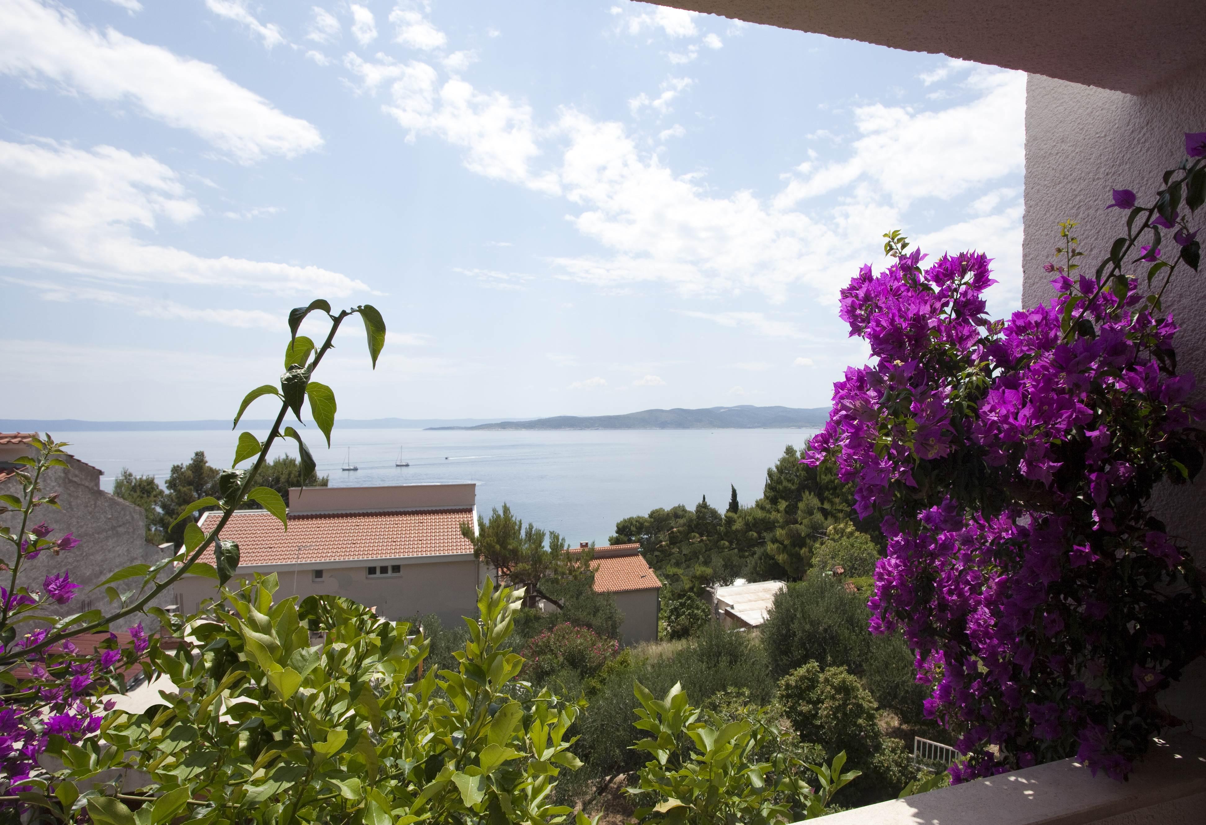 Villa Skalinada, 8 Persons, Private Pool, Baska Voda Bagian luar foto
